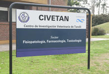CIVETAN: primeros resultados de ivermectina en pacientes Covid-19