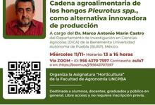 Disponible en Youtube charla de experto de Universidad de Puebla