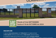 Convocatorias de Bienestar para becas y residencias estudiantiles 