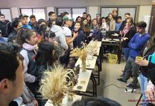 Jornada de actividades por la semana de la Ciencia en Agronomía