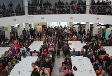 Más de 200 jóvenes ya iniciaron el Articulatorio de Veterinarias 