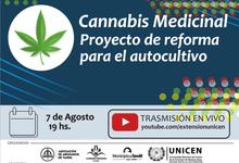 “Cannabis medicinal: proyecto de reforma para el autocultivo”