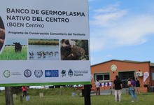 Fue presentado el Banco de Germoplasma Nativo del Centro