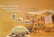 Muestra itinerante “Olavarría antes de Olavarría”