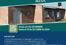 Convocatorias de Bienestar para becas y residencias estudiantiles 