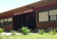 53 años de Agronomía UNICEN: El valor del arraigo regional con proyección al mundo