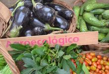 Reunión de la Red de Consumidores y Productores Agroecológicos