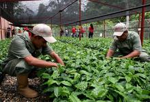 Agroecología y Economía Social y Solidaria