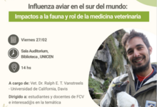 “Influenza aviar en el sur del mundo: impactos en la fauna y rol de la medicina veterinaria”