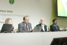 Ingeniero de FIO en la cumbre por el cambio climático
