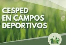 Capacitación presencial y vía Zoom sobre césped en Campos Deportivos