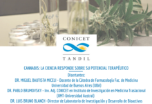 Cannabis: la ciencia responde sobre su potencial terapéutico