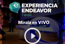 Desde las 9 horas, podrás seguir en vivo Experiencia Endeavor