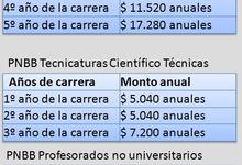 Enfermería entre carreras prioritarias para Becas Bicentenario 2014