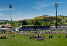 Universo Walsh: multitudinaria y colorida fiesta escolar en Tandil