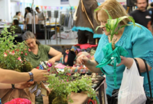 Nueva Feria de la Economía Social y Solidaria