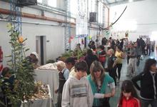 En la Universidad Barrial se desarrolló la “Primer Feria Verde de Tandil”
