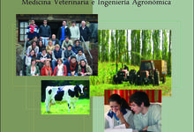 Programa Becas Universitarias