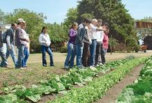 Diplomatura en Producciones Intensivas Vegetales  de la Facultad de Agronomía