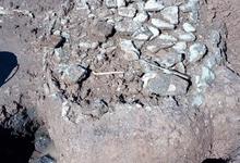 Arqueólogos investigan restos de gliptodontes en Trenque Lauquen 