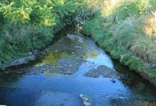 Ciencias Humanas estudia el estado del arroyo Langueyú