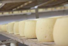 Clúster quesero concreta curso de ventas y comercialización