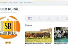 Referentes de Veterinarias junto a la ganadería bovina