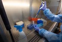 Coronavirus: investigadores a cargo de testeos agradecen colaboraciones