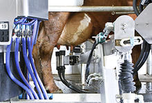 Investigadores de Unicen exportan un software para productores de Australia